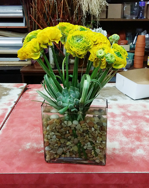 Tjflowers 0334
